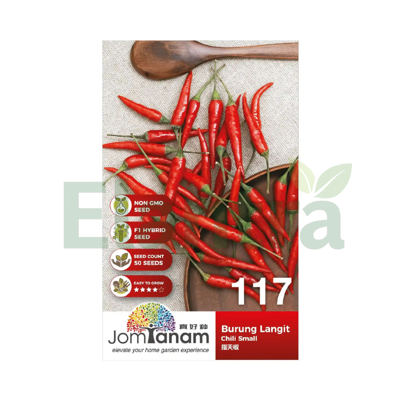 117 CHILI SMALL